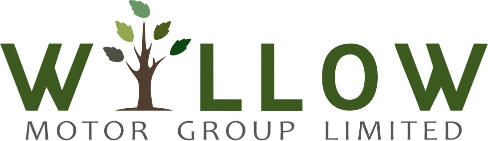 Willow Motor Group